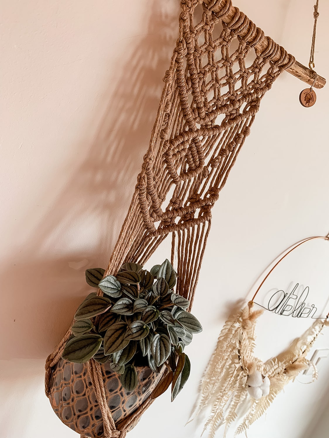 Suspension pour plantes bois flotté et macramé