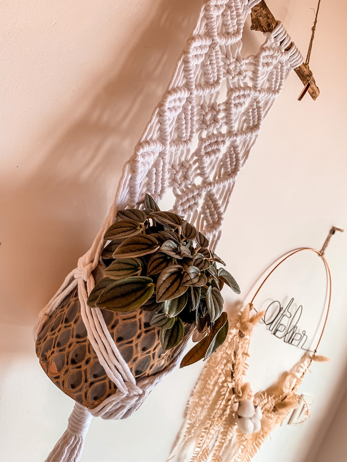 Suspension pour plantes bois flotté et macramé