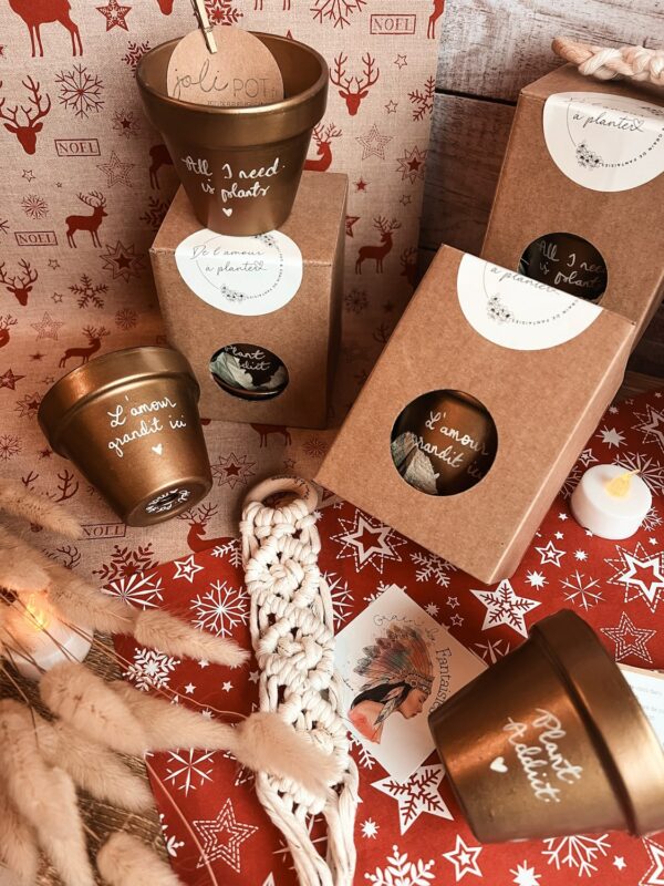 Coffret Cadeau Noel GDF & Joli Pot