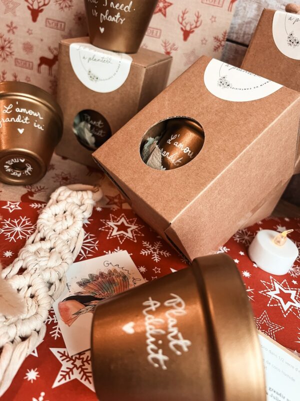 Coffret Cadeau Noel GDF & Joli Pot